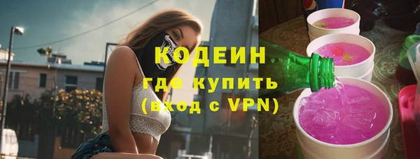 прущие грибы Бугульма
