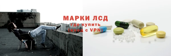 прущие грибы Бугульма