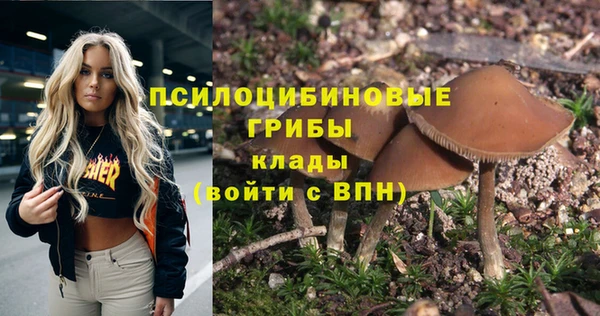 прущие грибы Бугульма