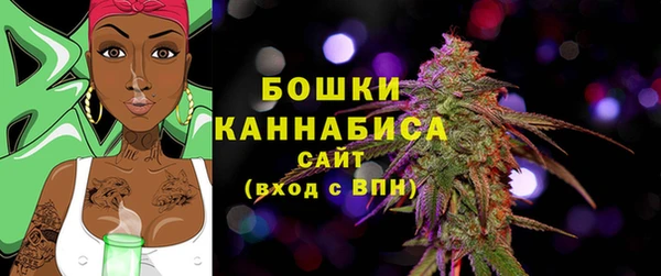 прущие грибы Бугульма