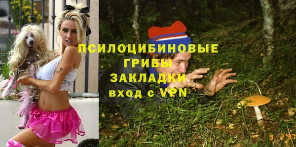 mdpv Верея