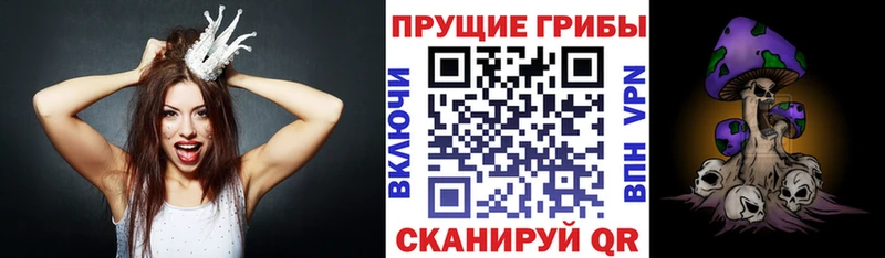 где купить   Касимов  Галлюциногенные грибы ЛСД 